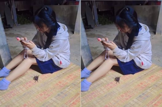Novinha gostosa chupando a pica grossa
