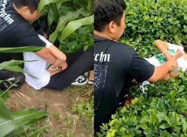 Vu Khanh Linh использует фальшивую Cu для сбоя в бабочках